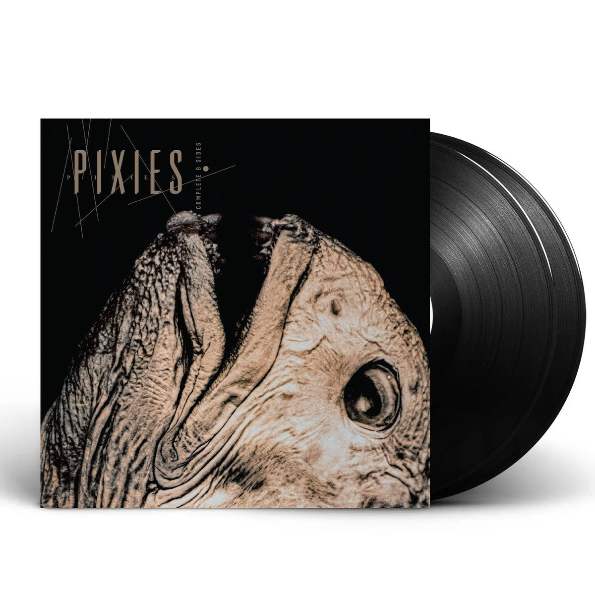 Packshot: Pixies – Complete B Sides: 1988-97 Vinyl LP | Relix