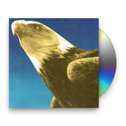 Packshot: Protomartyr – Hotel Usona (CD) CD | Relix