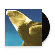 Packshot: Protomartyr – Hotel Usona (LP Vinyl) Vinyl LP | Relix