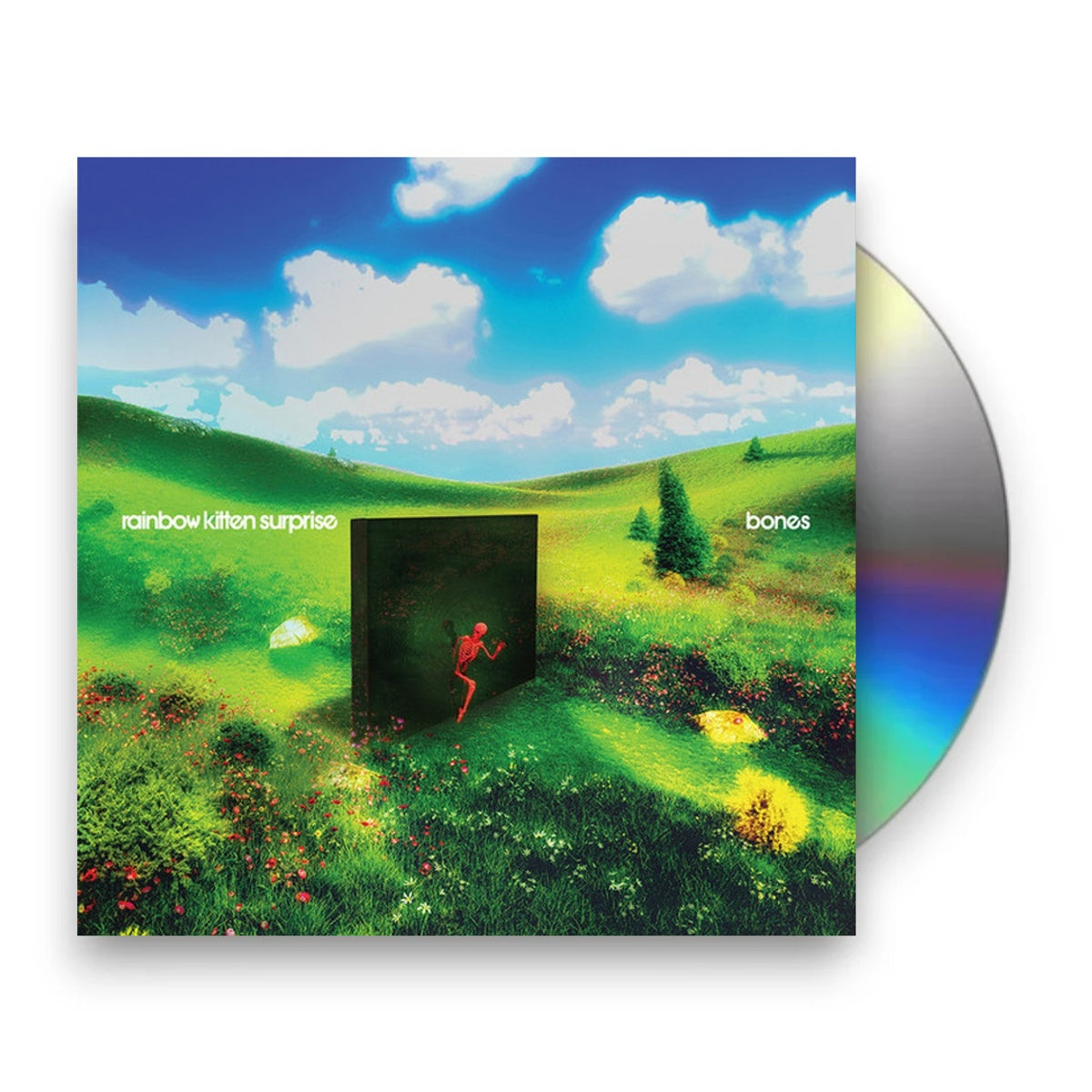 Packshot: Rainbow Kitten Surprise – bones CD | Relix
