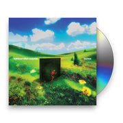 Packshot: Rainbow Kitten Surprise – bones CD | Relix