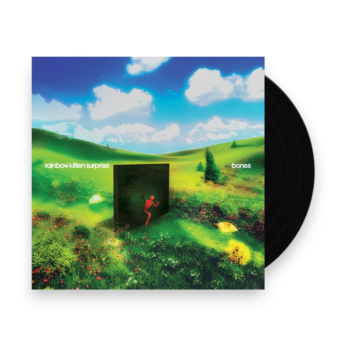 Packshot: Rainbow Kitten Surprise – bones Vinyl LP | Relix