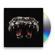 Packshot: Royal Blood – Dead Company (CD) CD | Relix