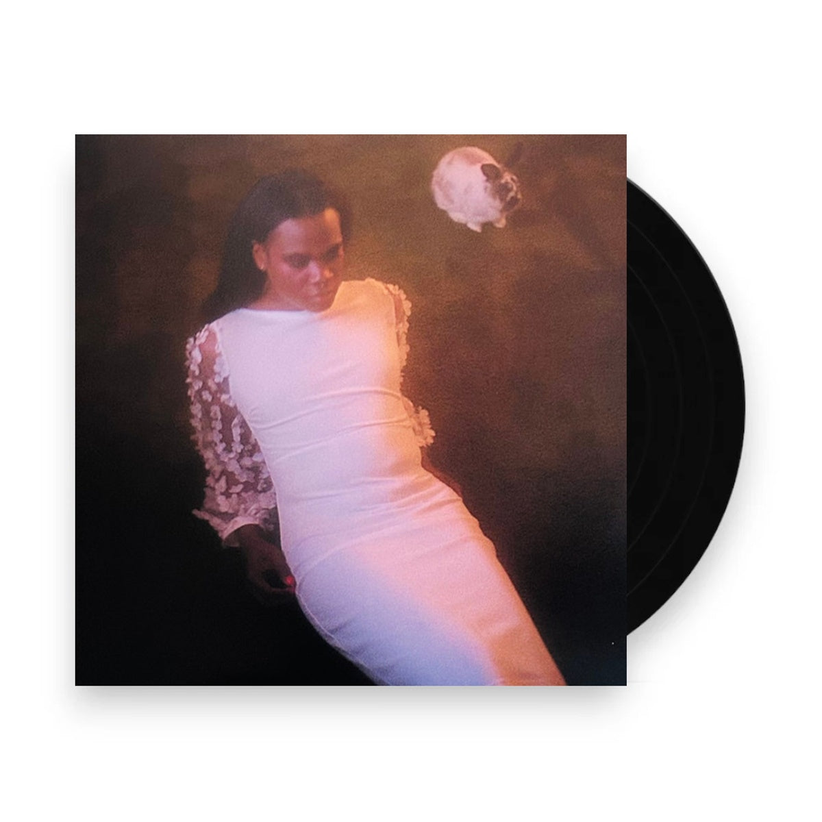 Packshot: Shamir – Ten (Colored, Org, Post, Stic, Auto LP Vinyl) Vinyl LP | Relix