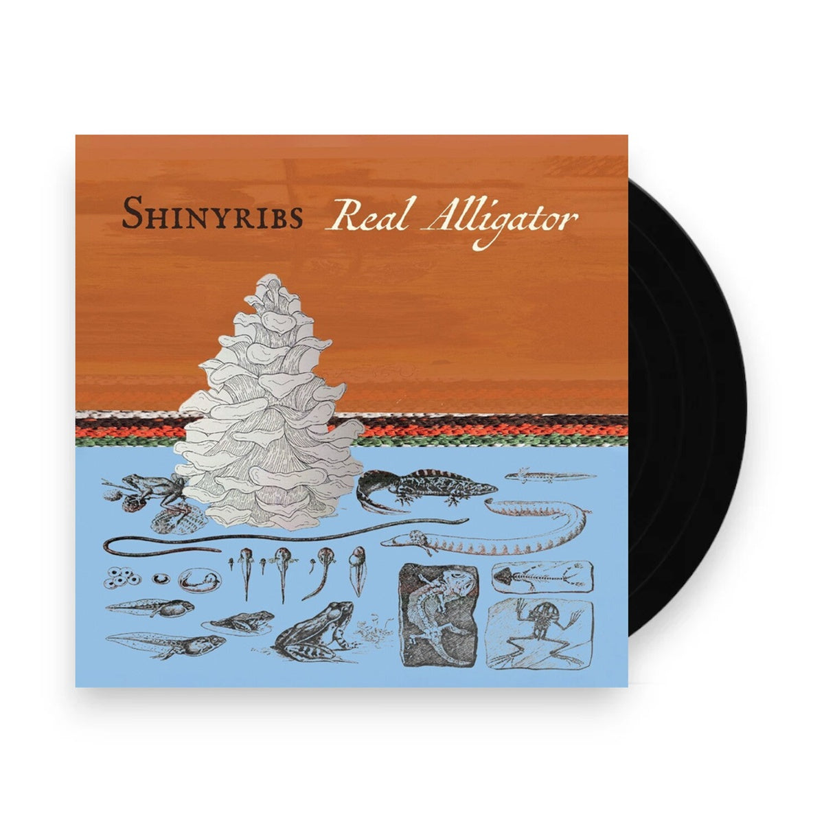 Packshot: Shinyribs – Real Alligator (180 Gram LP Vinyl) Vinyl LP | Relix