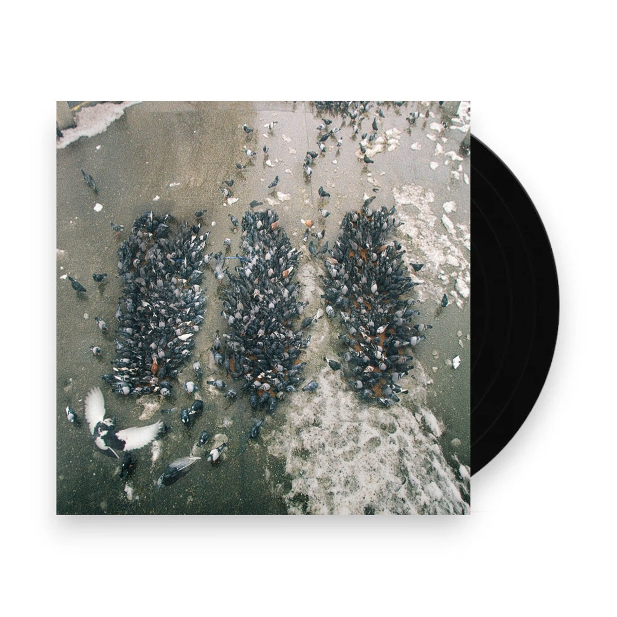 Packshot: Show Me The Body – Alone Together Vinyl LP | Relix
