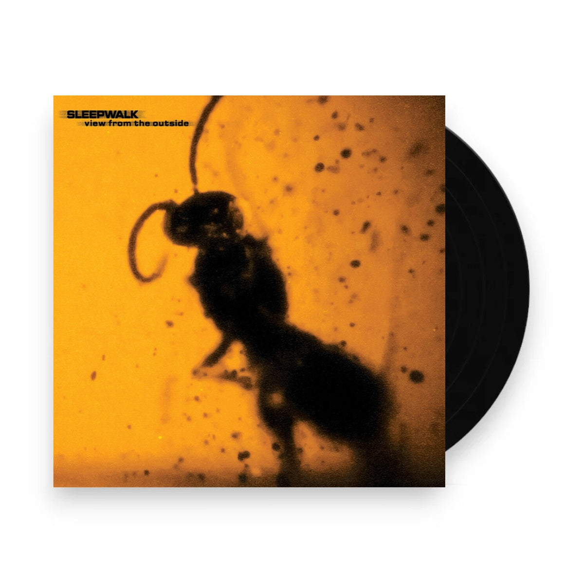 Packshot: Sleepwalk – View From The Outside (LP Vinyl) Vinyl LP | Relix