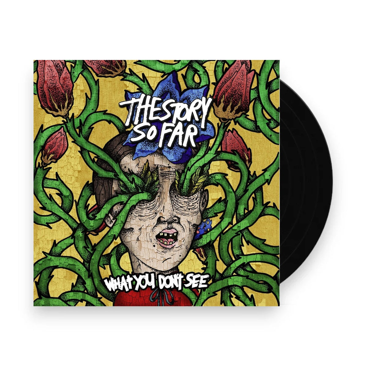 Packshot: Story So Far – What You Don't See (Colored, Mrb LP Vinyl) Vinyl LP | Relix