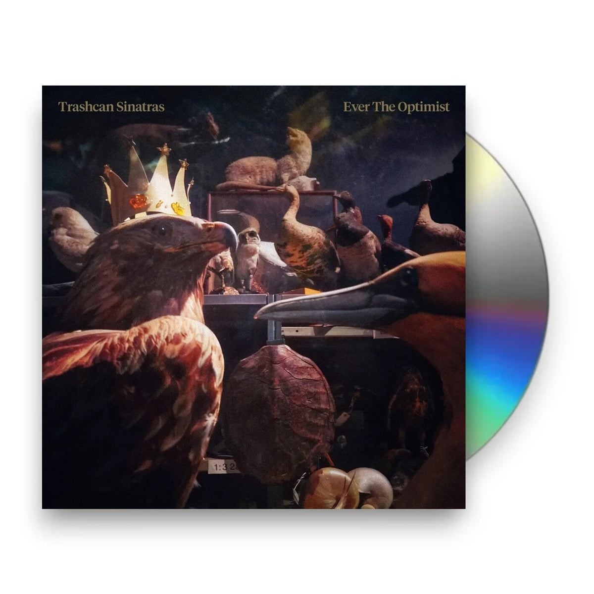 Packshot: Trashcan Sinatras – Ever The Optimist (Uk CD) CD | Relix