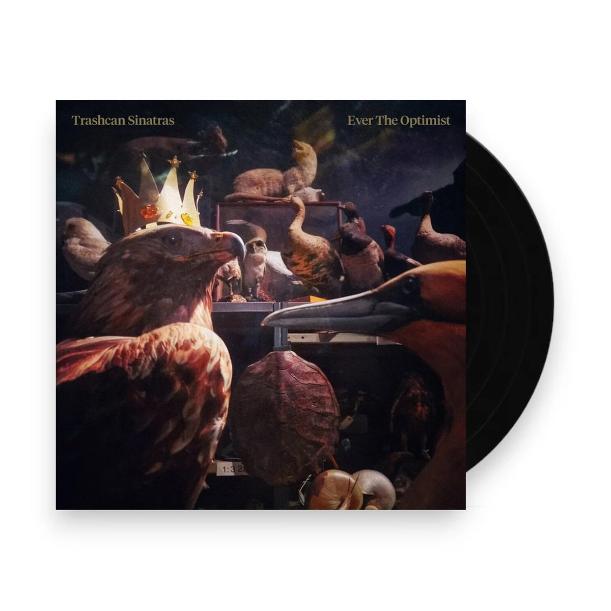 Packshot: Trashcan Sinatras – Ever The Optimist (Uk LP Vinyl) Vinyl LP | Relix