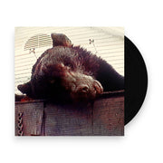 Packshot: Truck Violence – Violence (Colored, Limited Edition LP Vinyl) Vinyl LP | Relix
