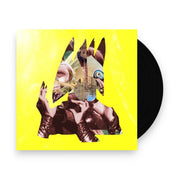 Packshot: Wassermann, Ute – chimeric Vinyl LP | Relix