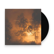 Packshot: Watchhouse – Blindfaller Vinyl LP | Relix