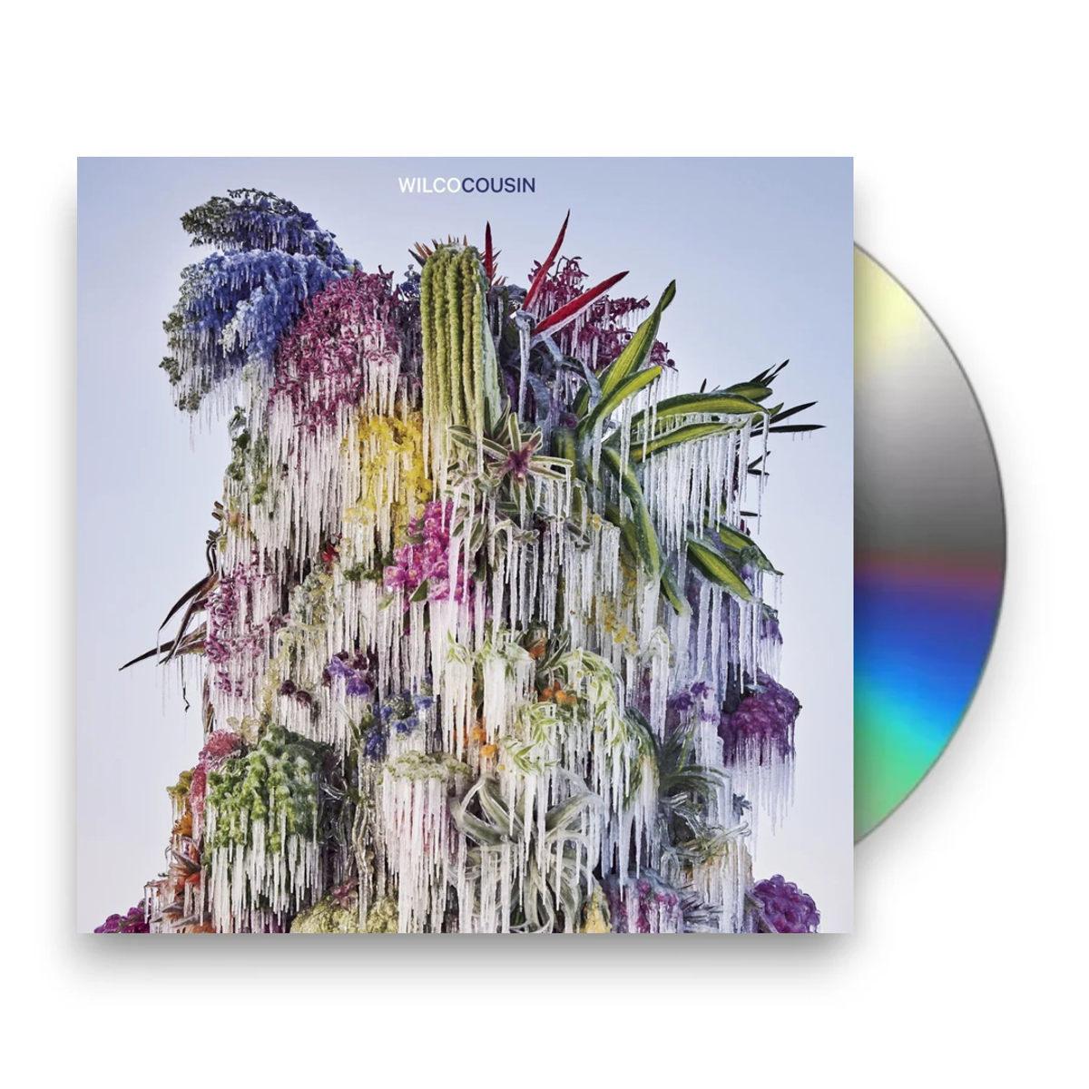 Packshot: Wilco – Cousin CD | Relix
