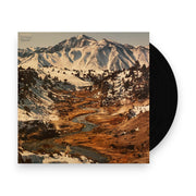 Packshot: Will Sheff – Nothing Special (Eco Mix/Recycled Color LP Vinyl) Vinyl LP | Relix