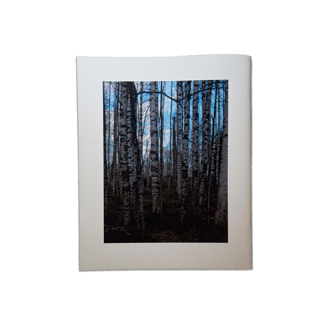 Robert M. Petersen: Pecker Poles – Rare Authorized Chapbook (Grateful Dead Scholars Caucus, 2015)