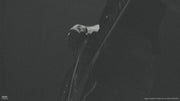 Led Zeppelin Live In Amsterdam, October 5, 1969 Video Performance