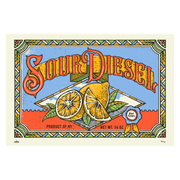 Limited edition Sour Diesel poster featuring bold, psychedelic artwork with botanical and sci-fi-inspired design elements